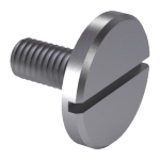 DIN 921 - Steel 5.8 - Slotted pan head screws with large head