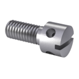 DIN 404 - A1 - Capstan screws